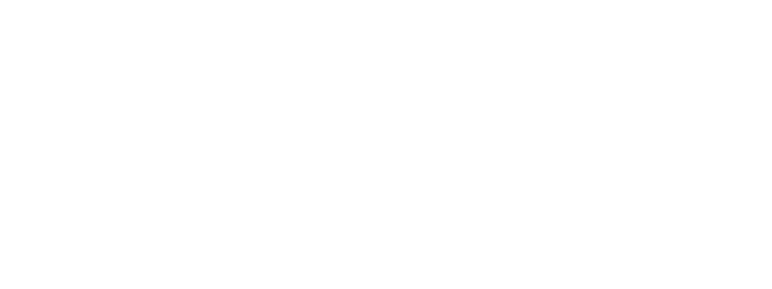 Röhlig Logistics Logo Kunde